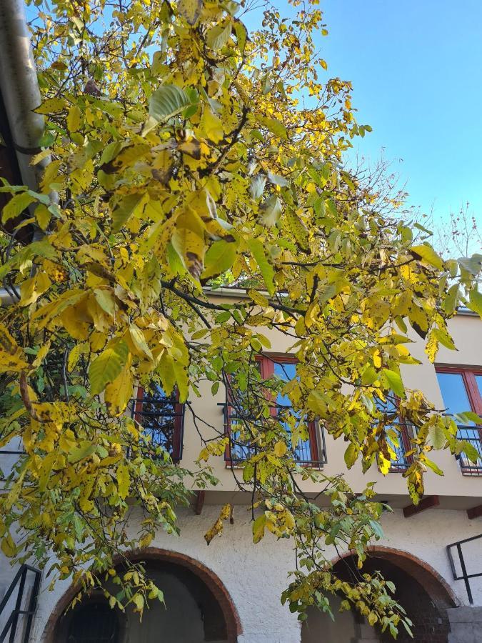 Bed and Breakfast Palantir Panzio Miskolc Exterior foto